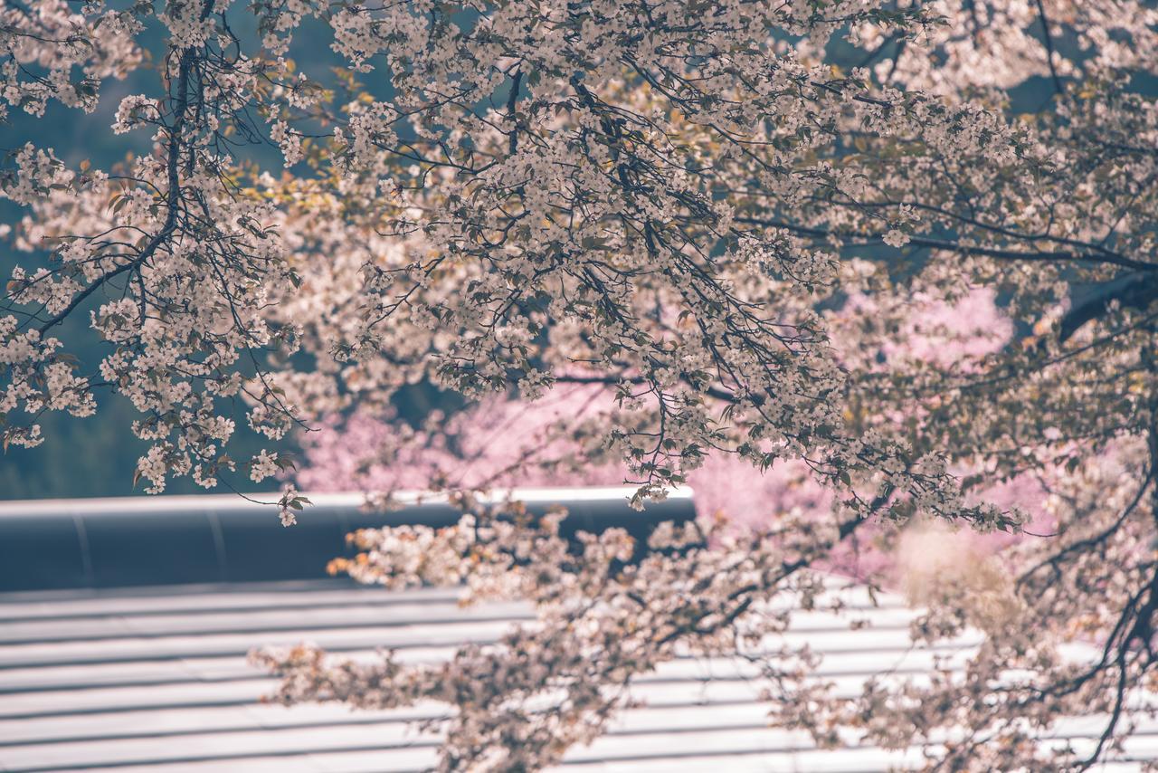 Kaze No Hibiki Hotel Nikko Bagian luar foto